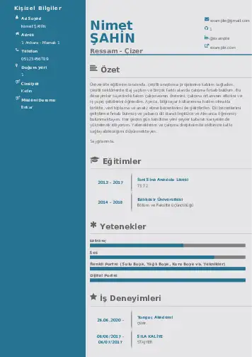 Ressam Cv Örnekleri cv indir